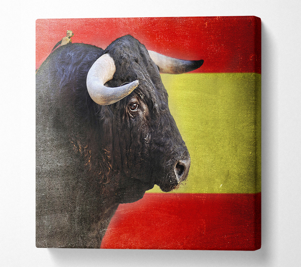 Spanish Bull Canvas Wall Art