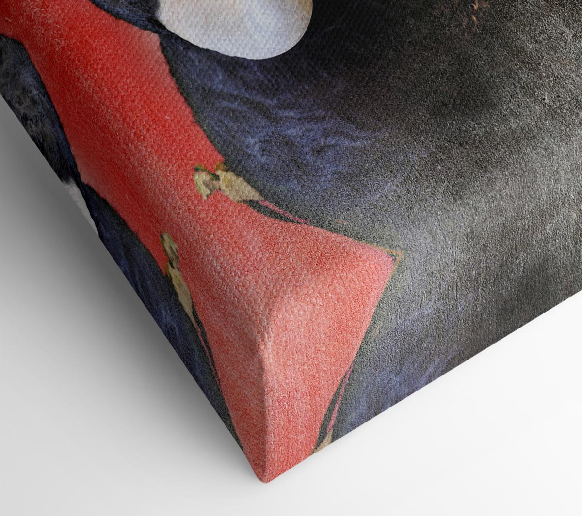 Spanish Bull Canvas Wall Art