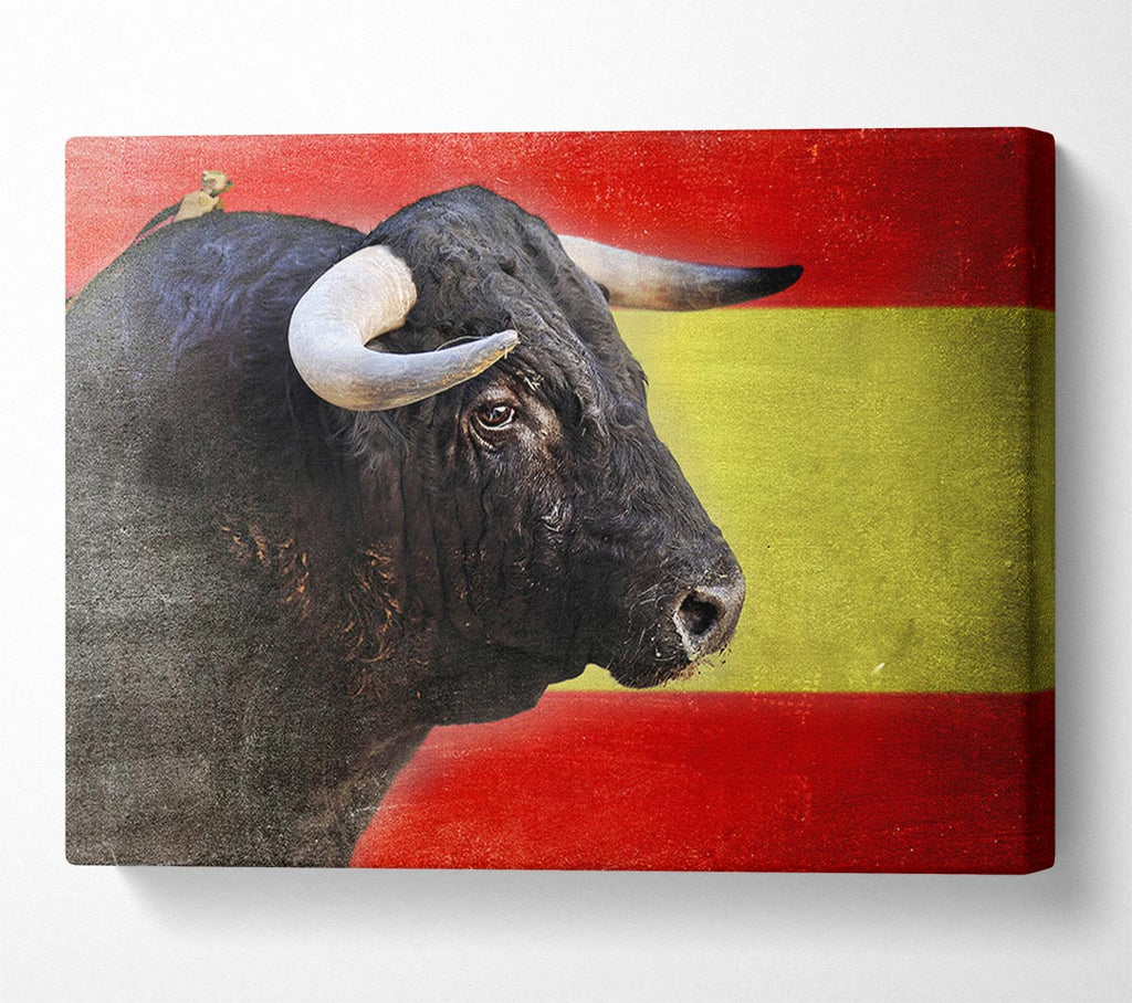 Spanish Bull Canvas Wall Art