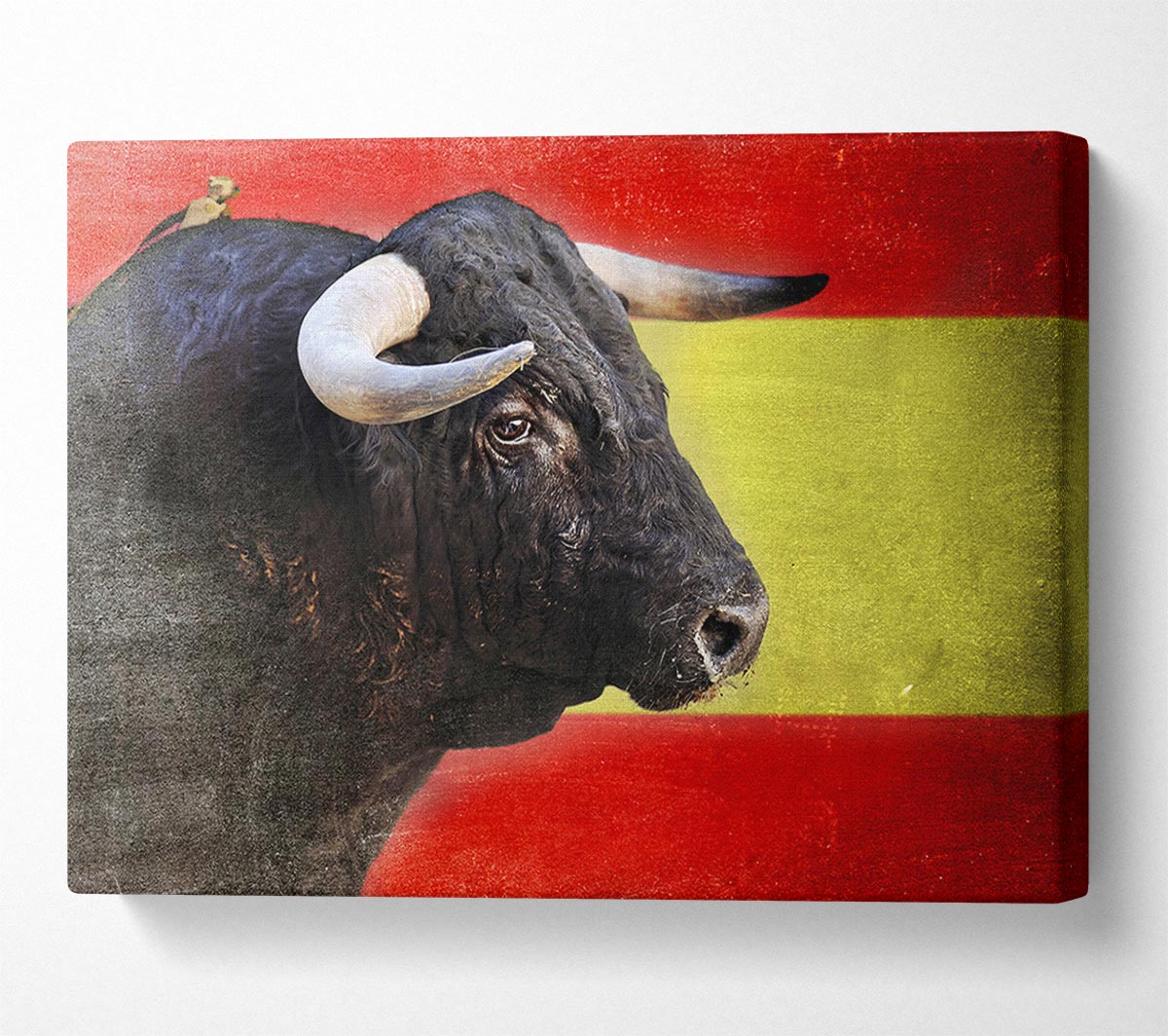 Spanish Bull Canvas Wall Art
