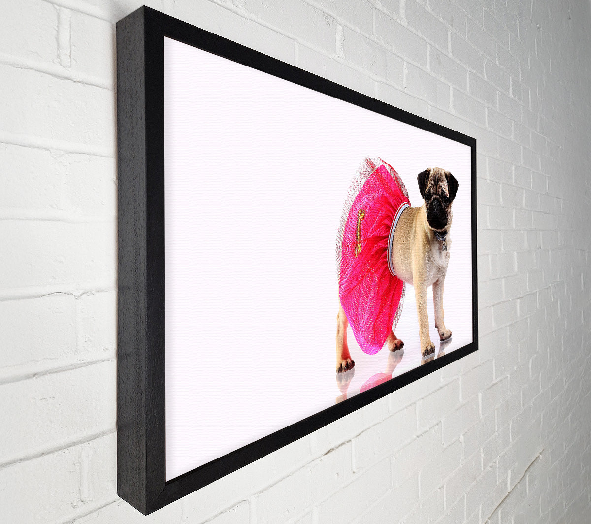 Pug Dog Tutu Canvas Wall Art