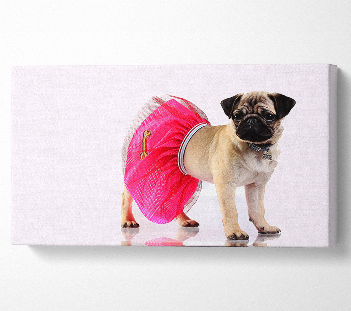 Pug Dog Tutu Canvas Wall Art