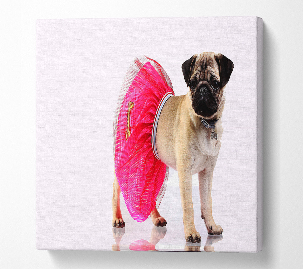 Pug Dog Tutu Canvas Wall Art