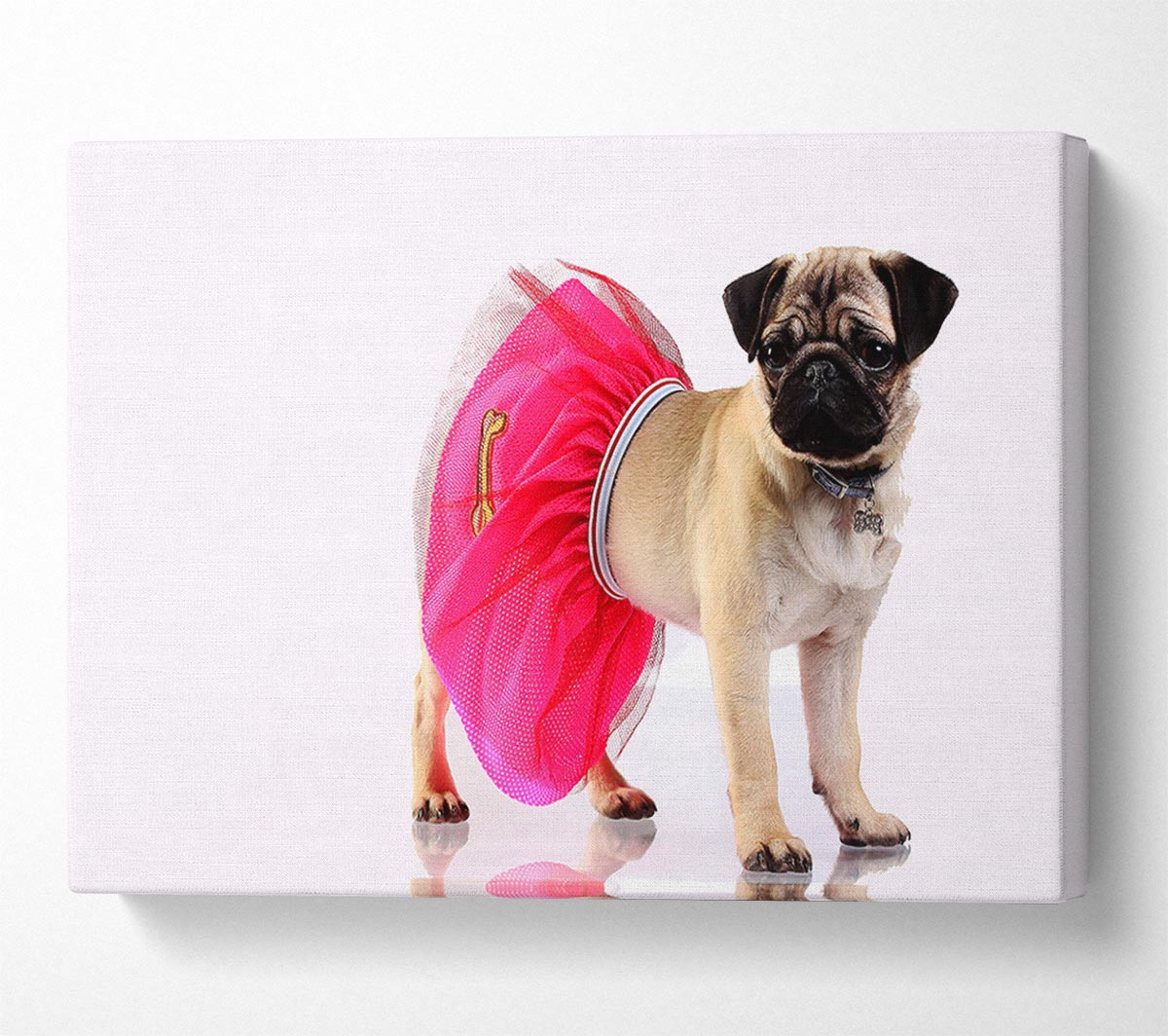Pug Dog Tutu Canvas Wall Art