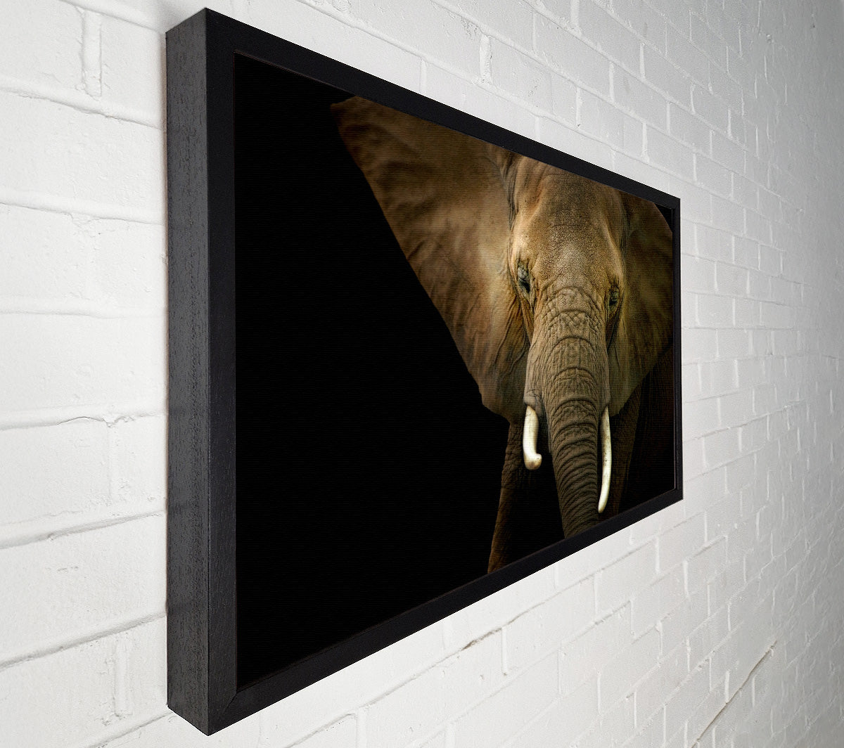 Stunning Elephant Face Canvas Wall Art