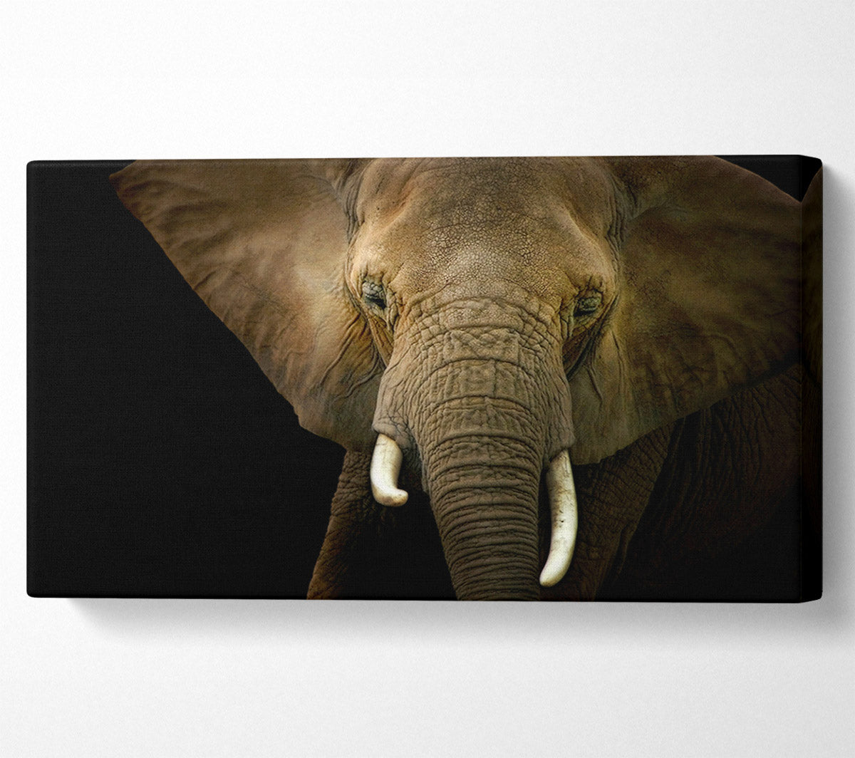 Stunning Elephant Face Canvas Wall Art