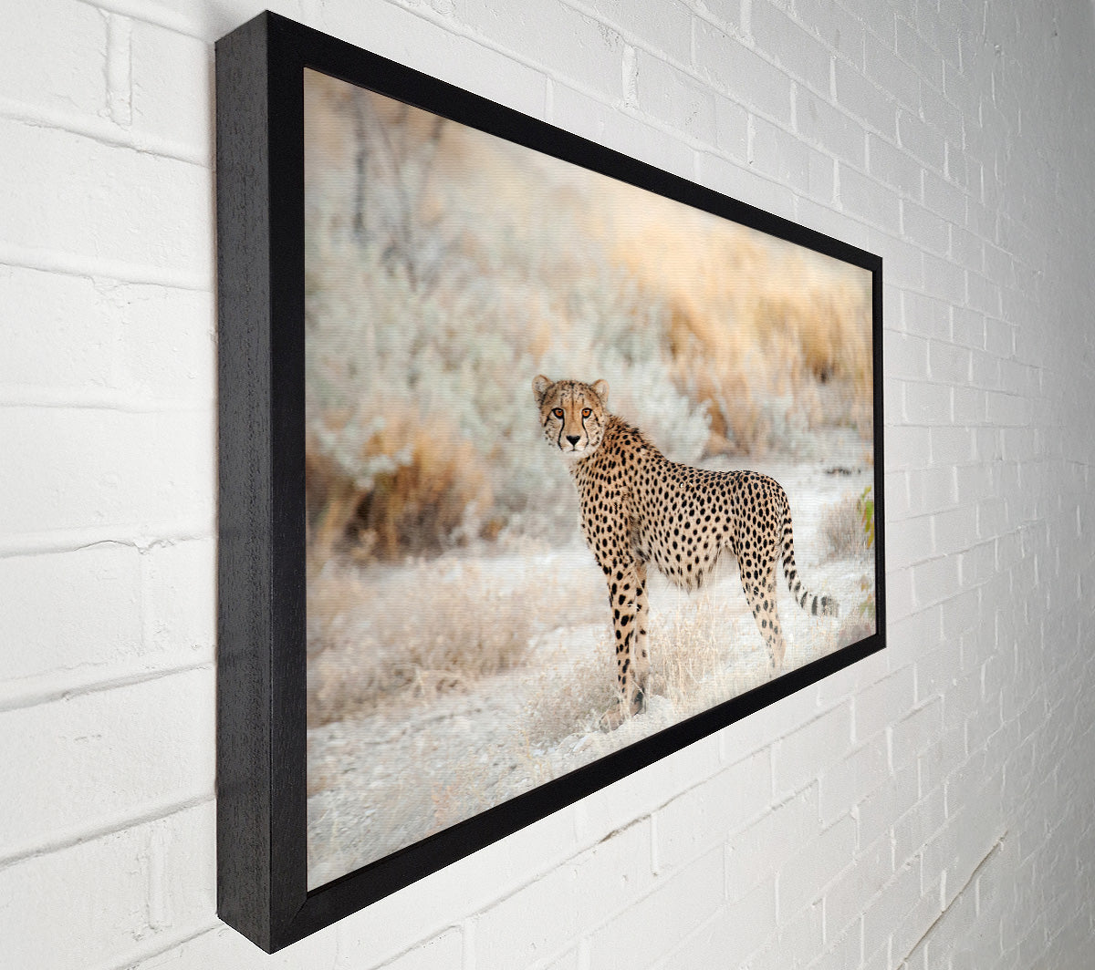 Wild Cheetah Canvas Wall Art