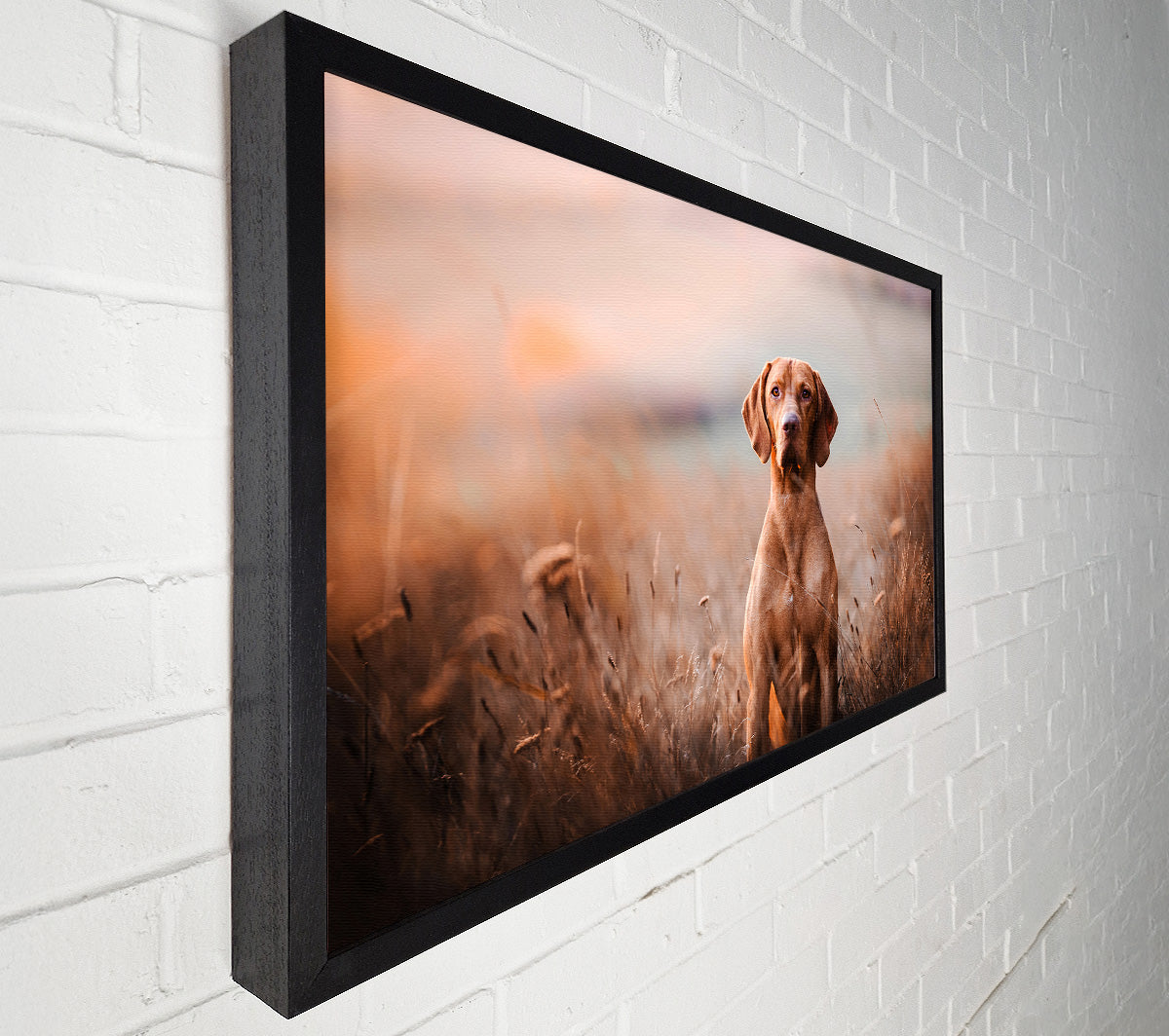 Dog Obedience Canvas Wall Art