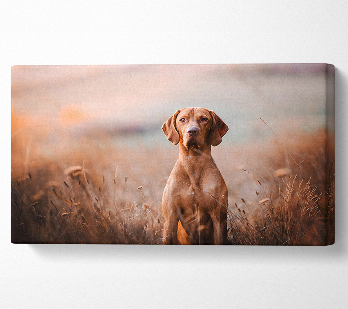 Dog Obedience Canvas Wall Art