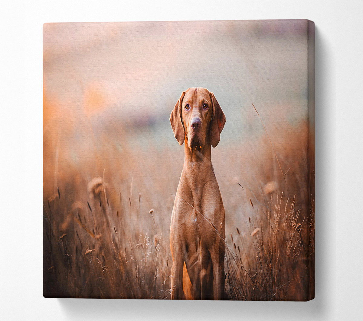 Dog Obedience Canvas Wall Art