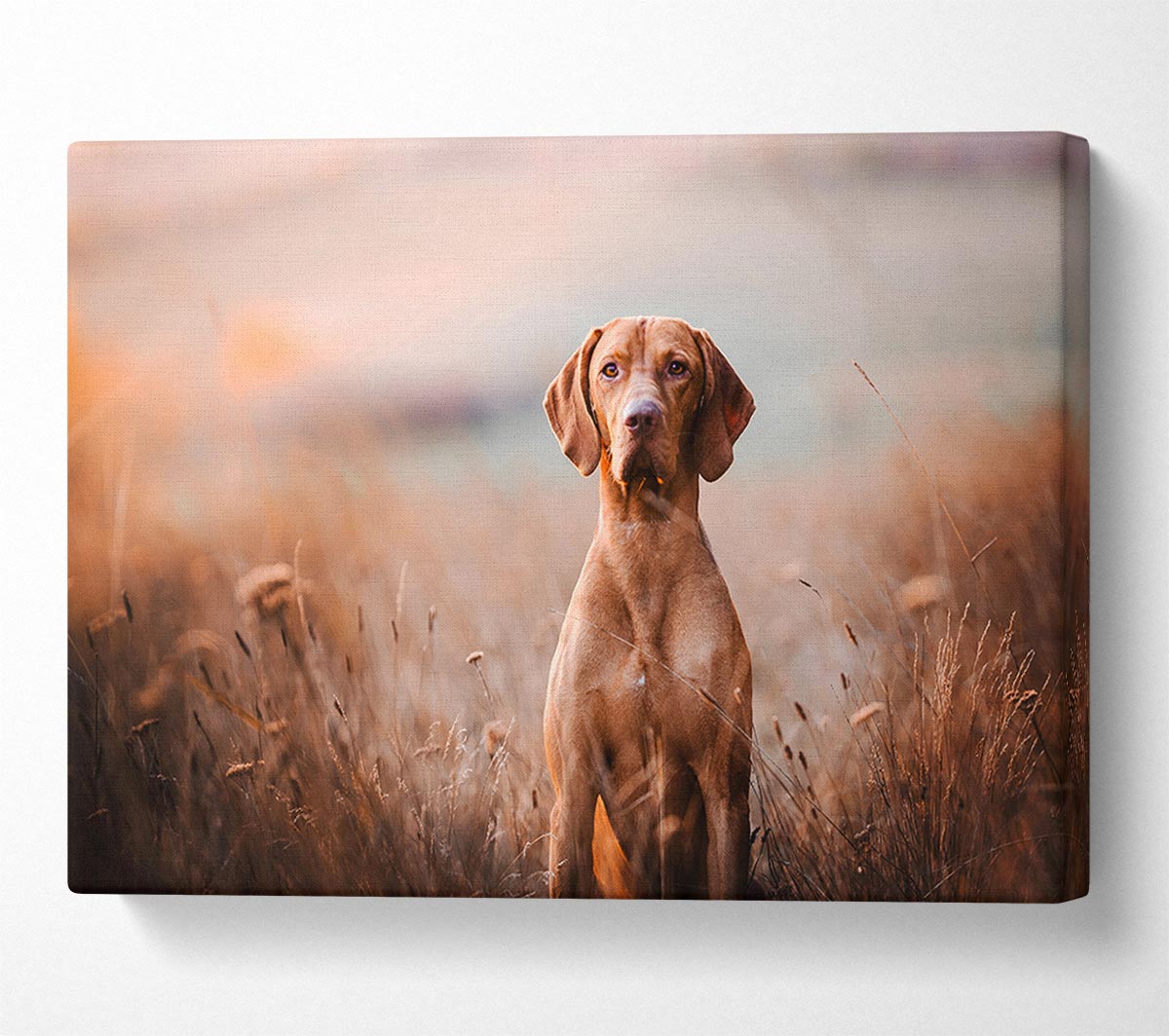 Dog Obedience Canvas Wall Art