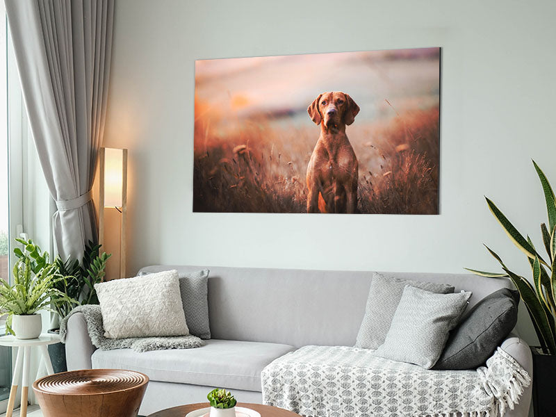 Dog Obedience Metal Print