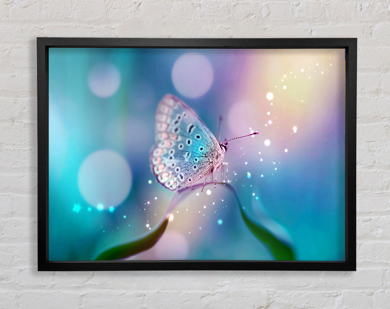 Butterfly Sparkle Framed Print