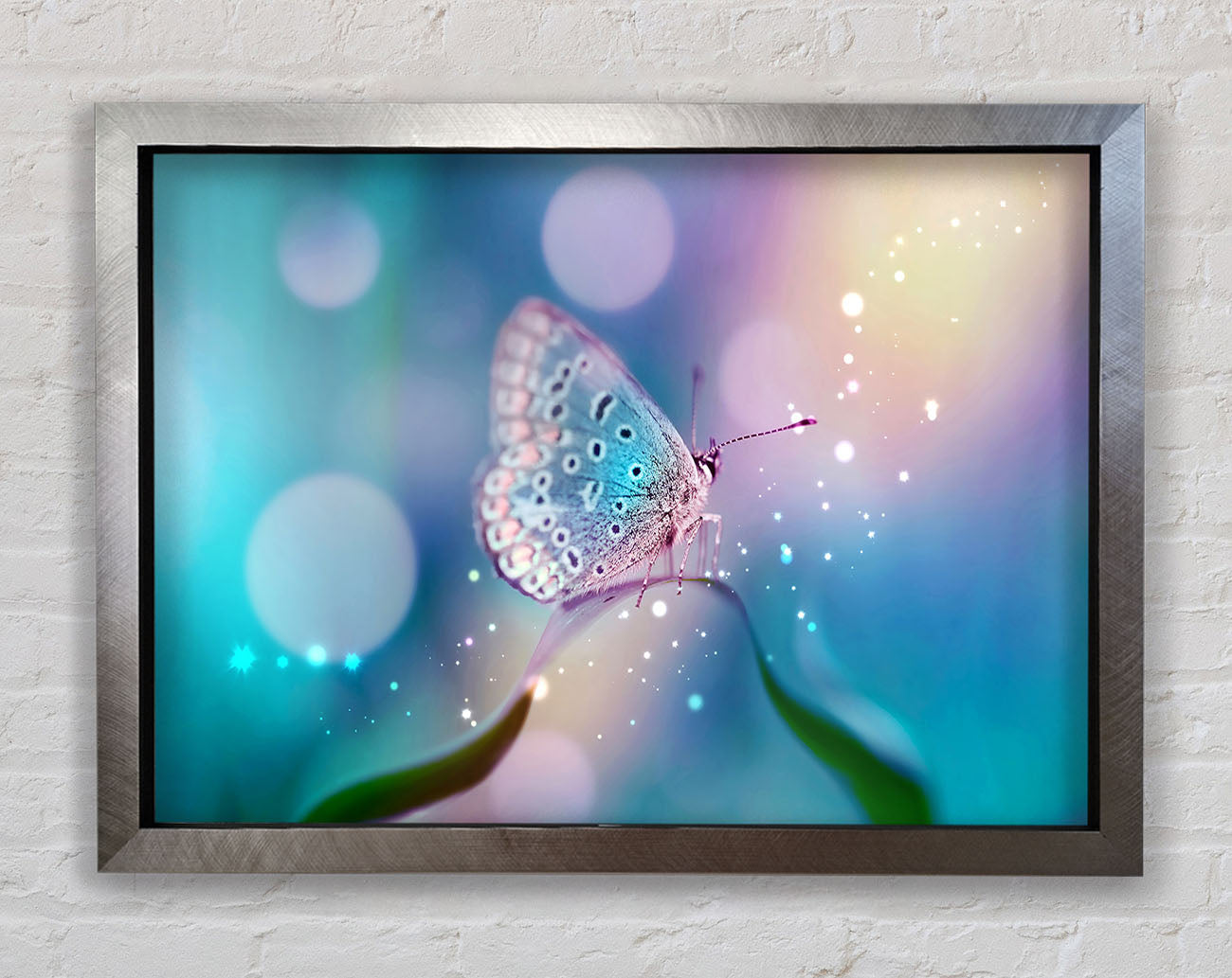 Butterfly Sparkle Framed Print