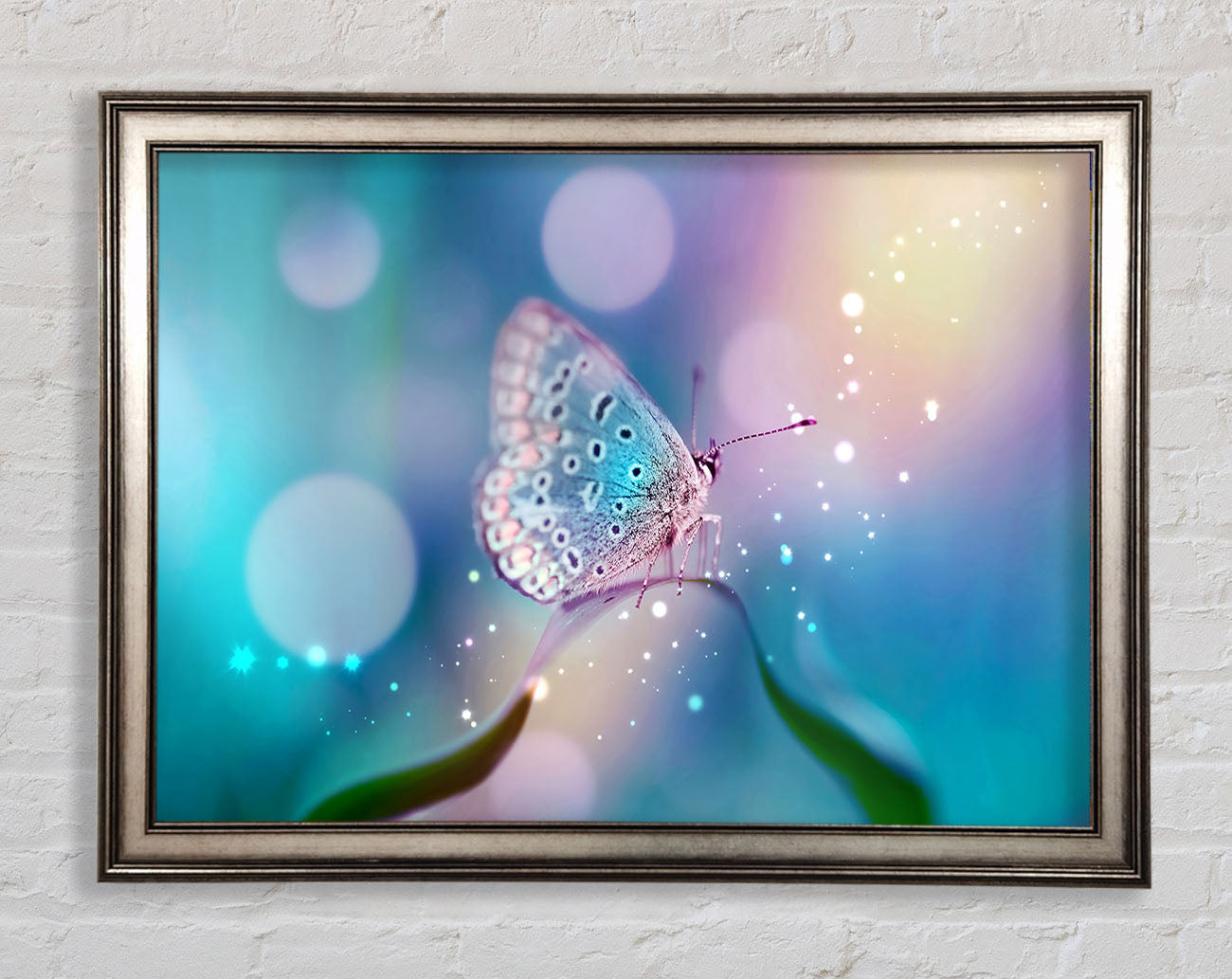 Butterfly Sparkle Framed Print