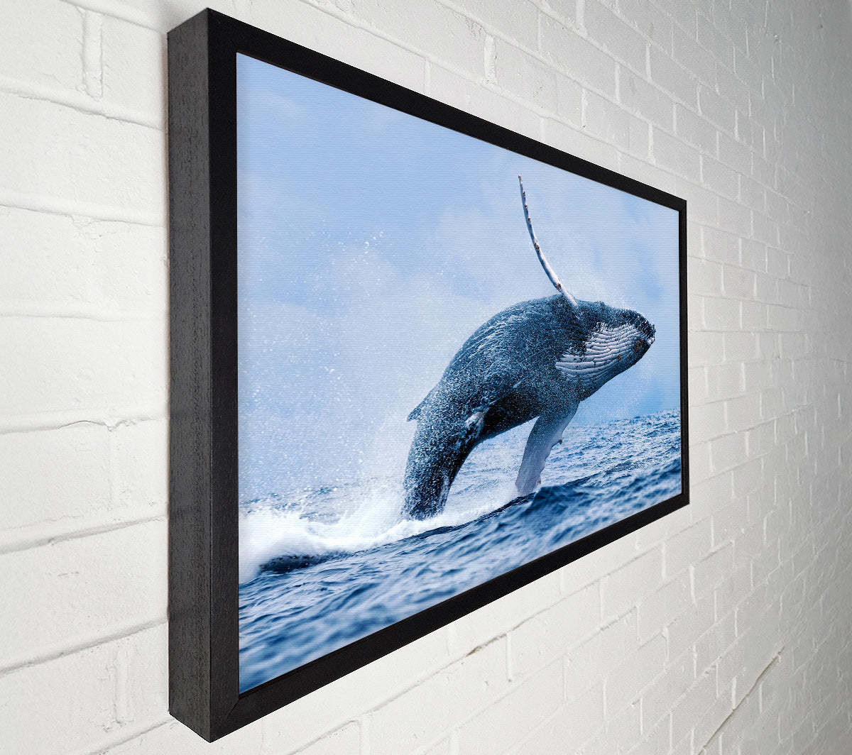 Whale Jump Canvas Wall Art