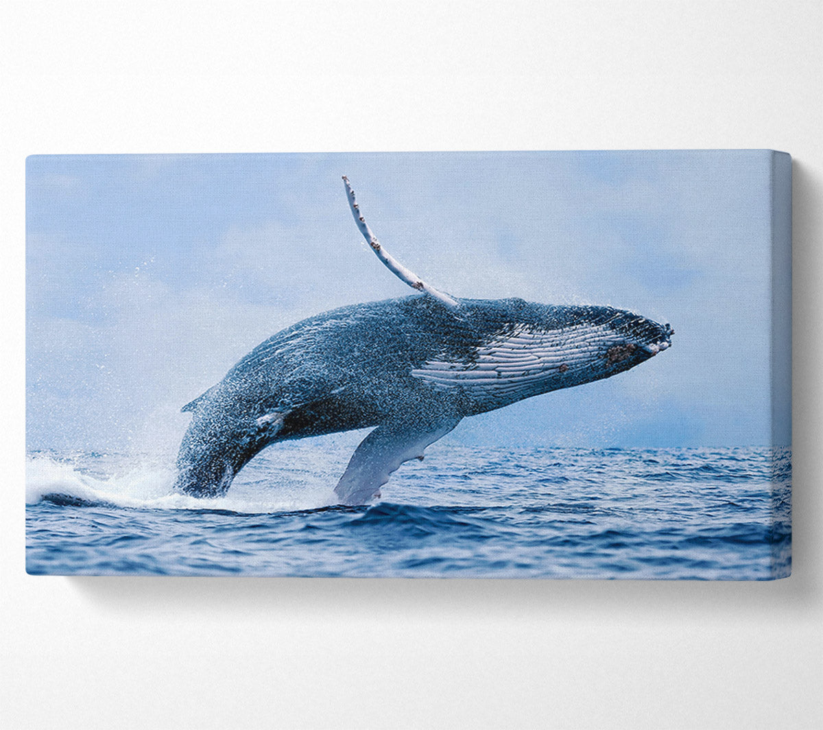 Whale Jump Canvas Wall Art