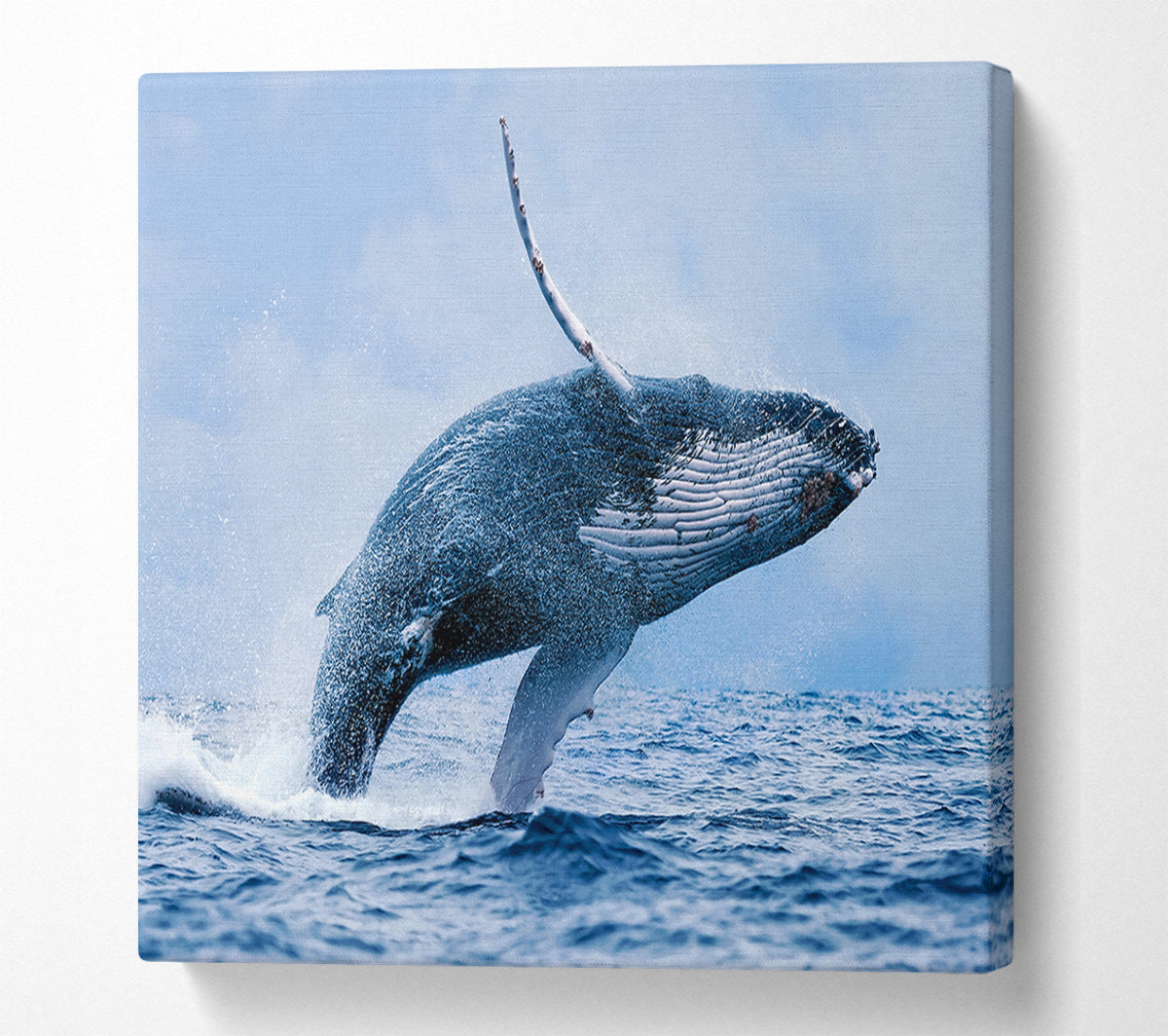 Whale Jump Canvas Wall Art