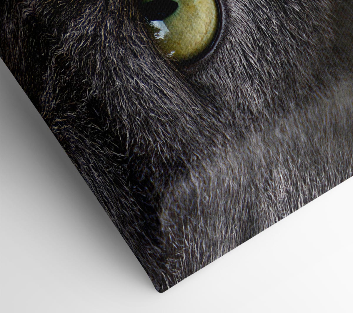 Smokey Grey Cat Canvas Wall Art