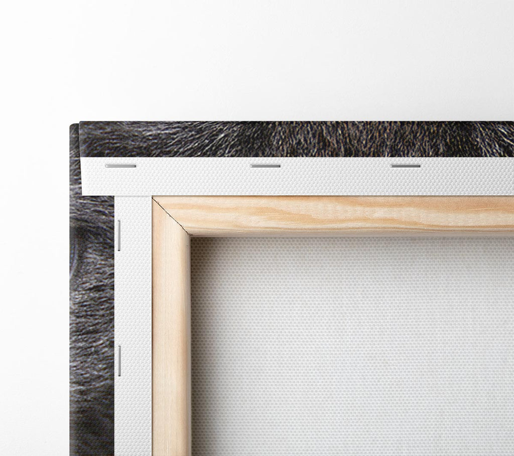 Smokey Grey Cat Canvas Wall Art