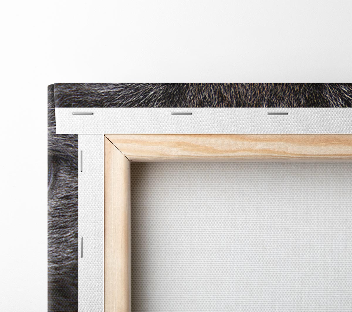 Smokey Grey Cat Canvas Wall Art
