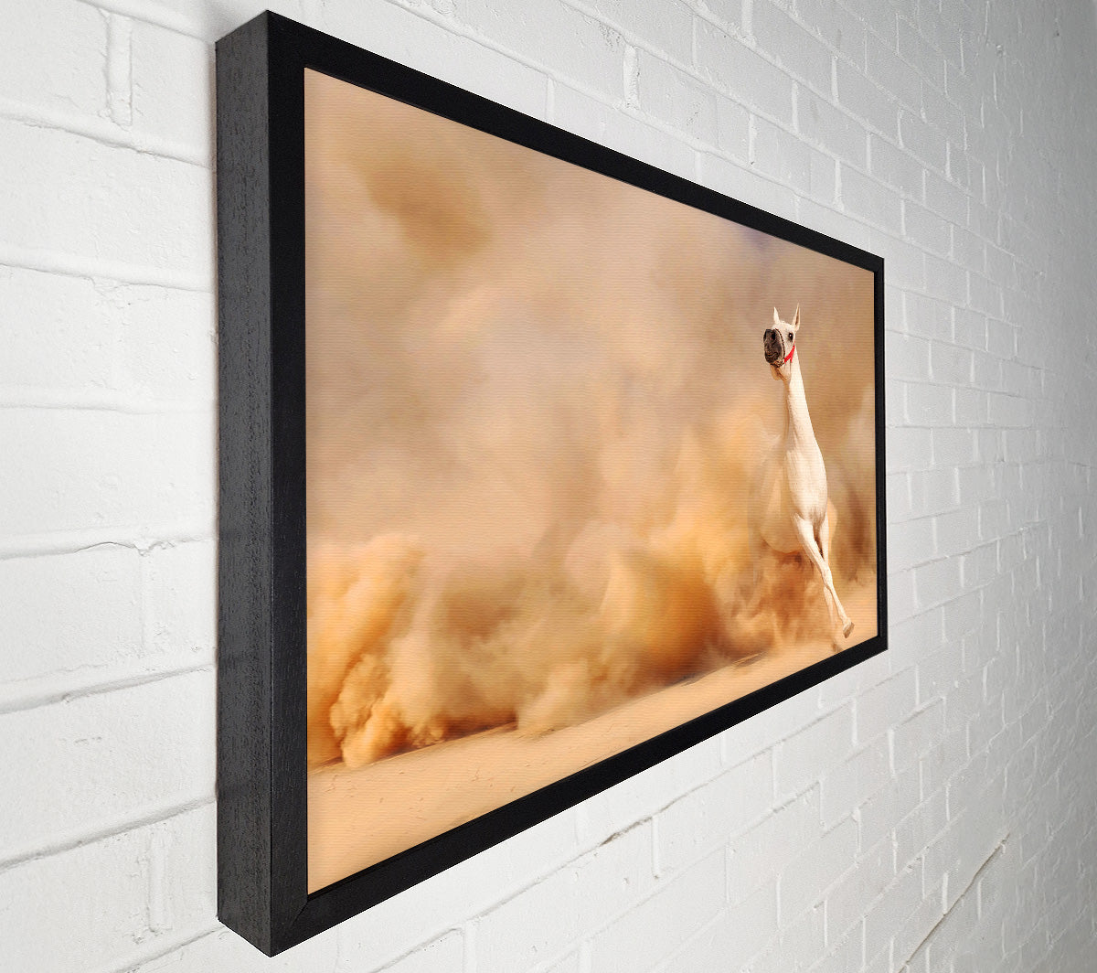 White Horse Beauty Canvas Wall Art