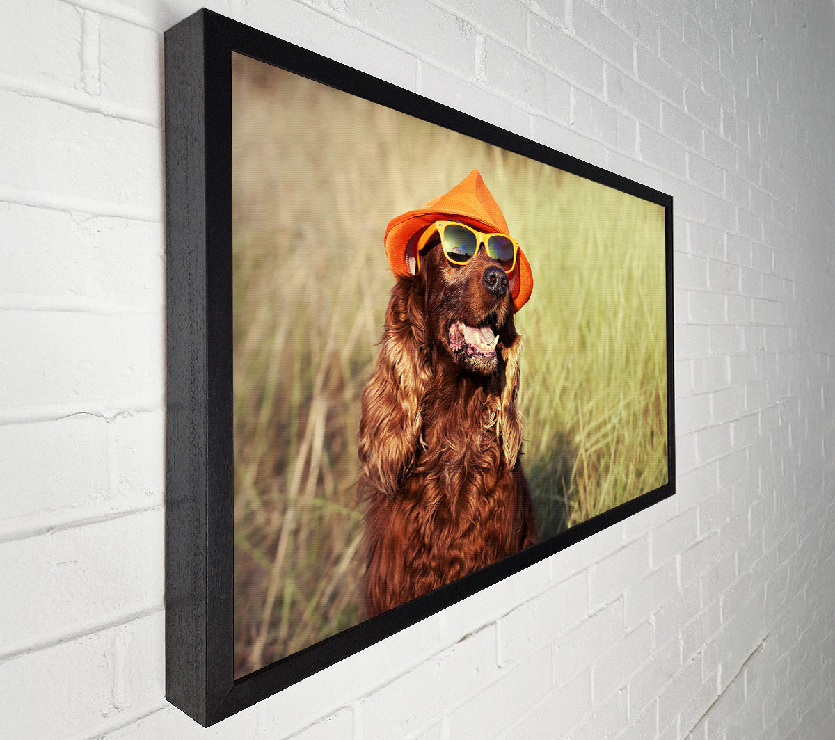 Sunny Days Dog Canvas Wall Art