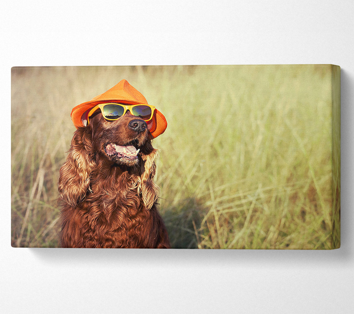 Sunny Days Dog Canvas Wall Art