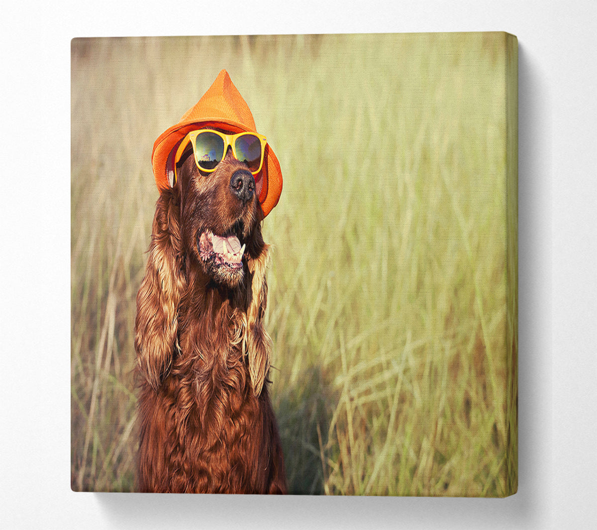 Sunny Days Dog Canvas Wall Art