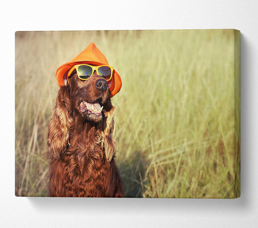 Sunny Days Dog Canvas Wall Art