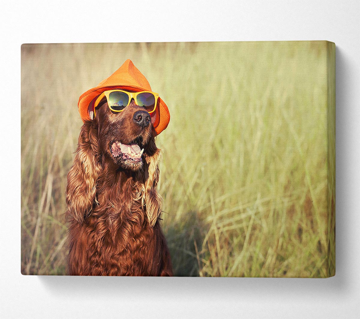 Sunny Days Dog Canvas Wall Art