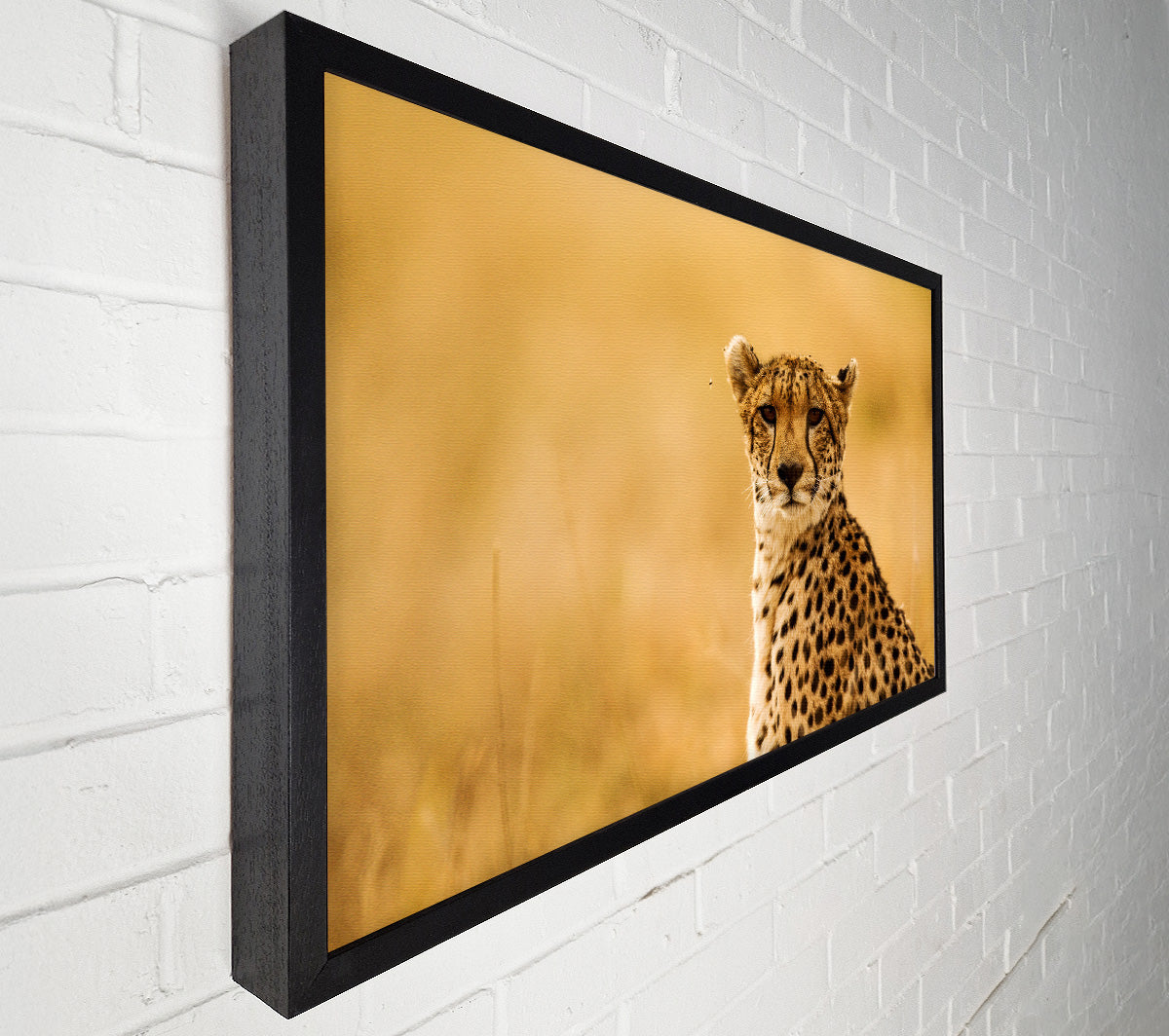 Proud Cheetah Canvas Wall Art