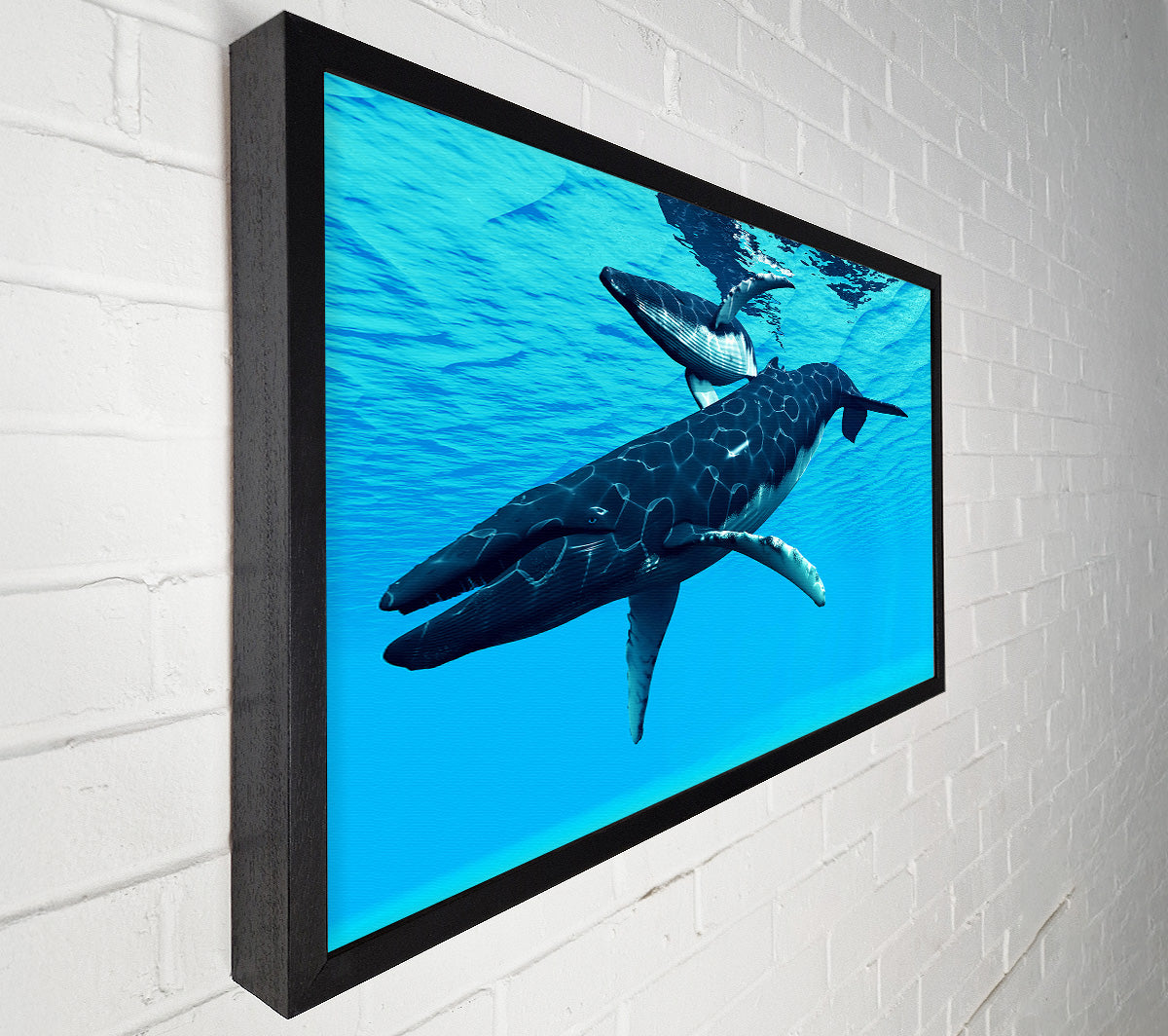 Whale Fun Canvas Wall Art