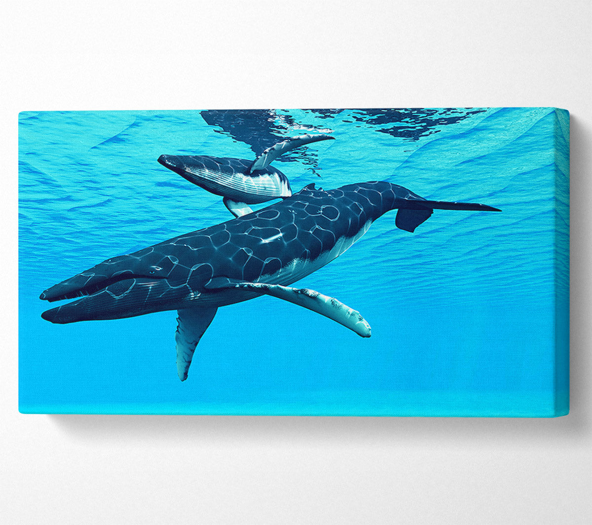 Whale Fun Canvas Wall Art