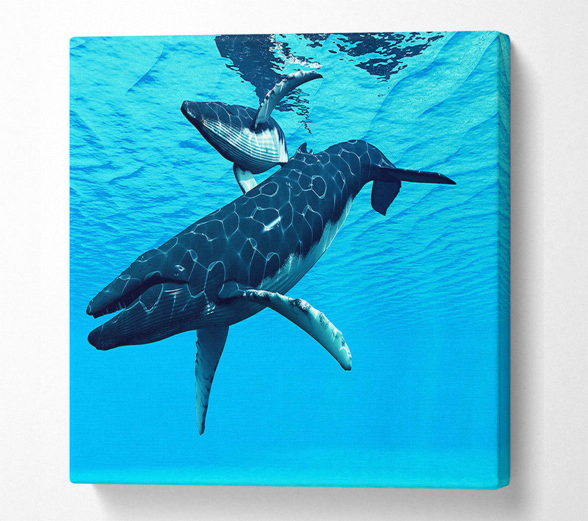 Whale Fun Canvas Wall Art