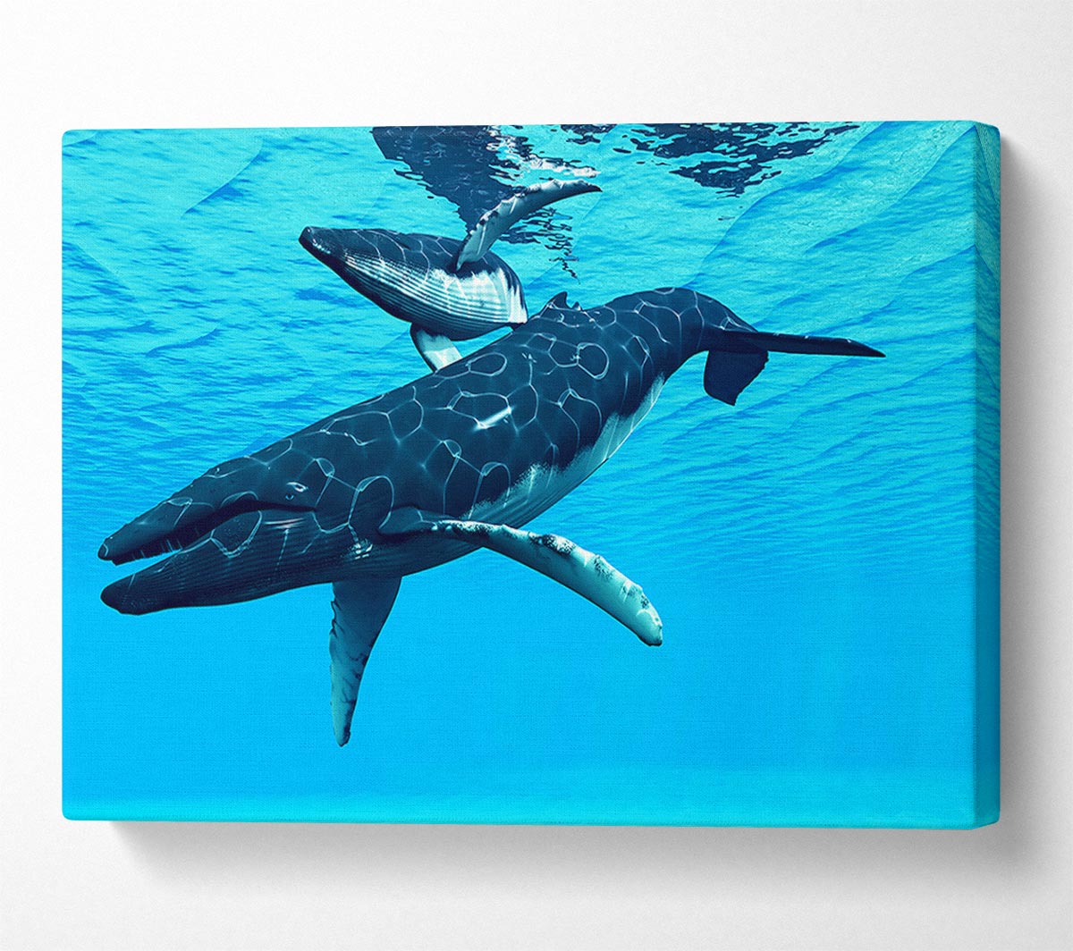 Whale Fun Canvas Wall Art