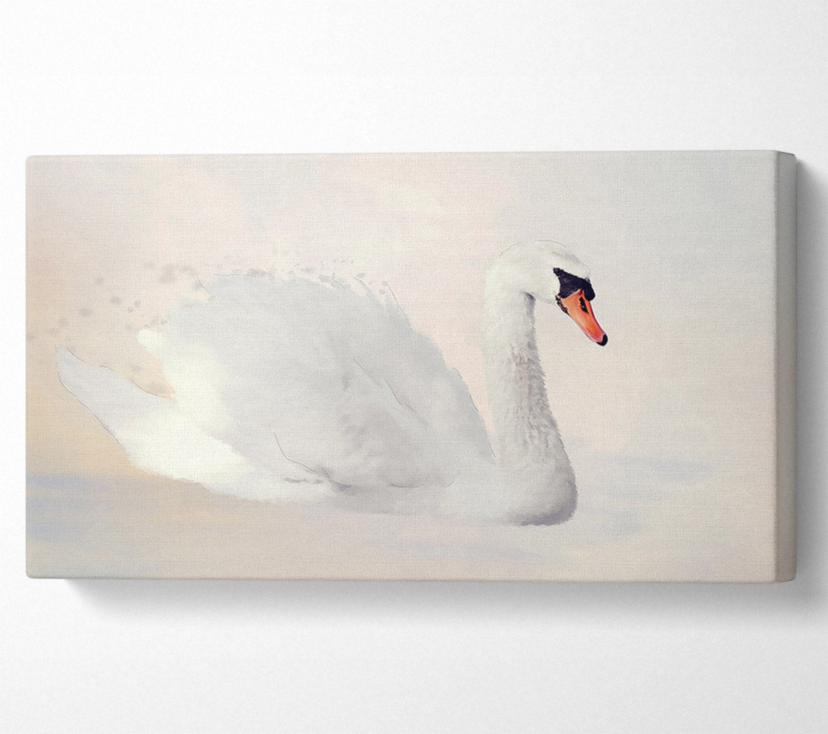 Stunning Swan Splash Canvas Wall Art