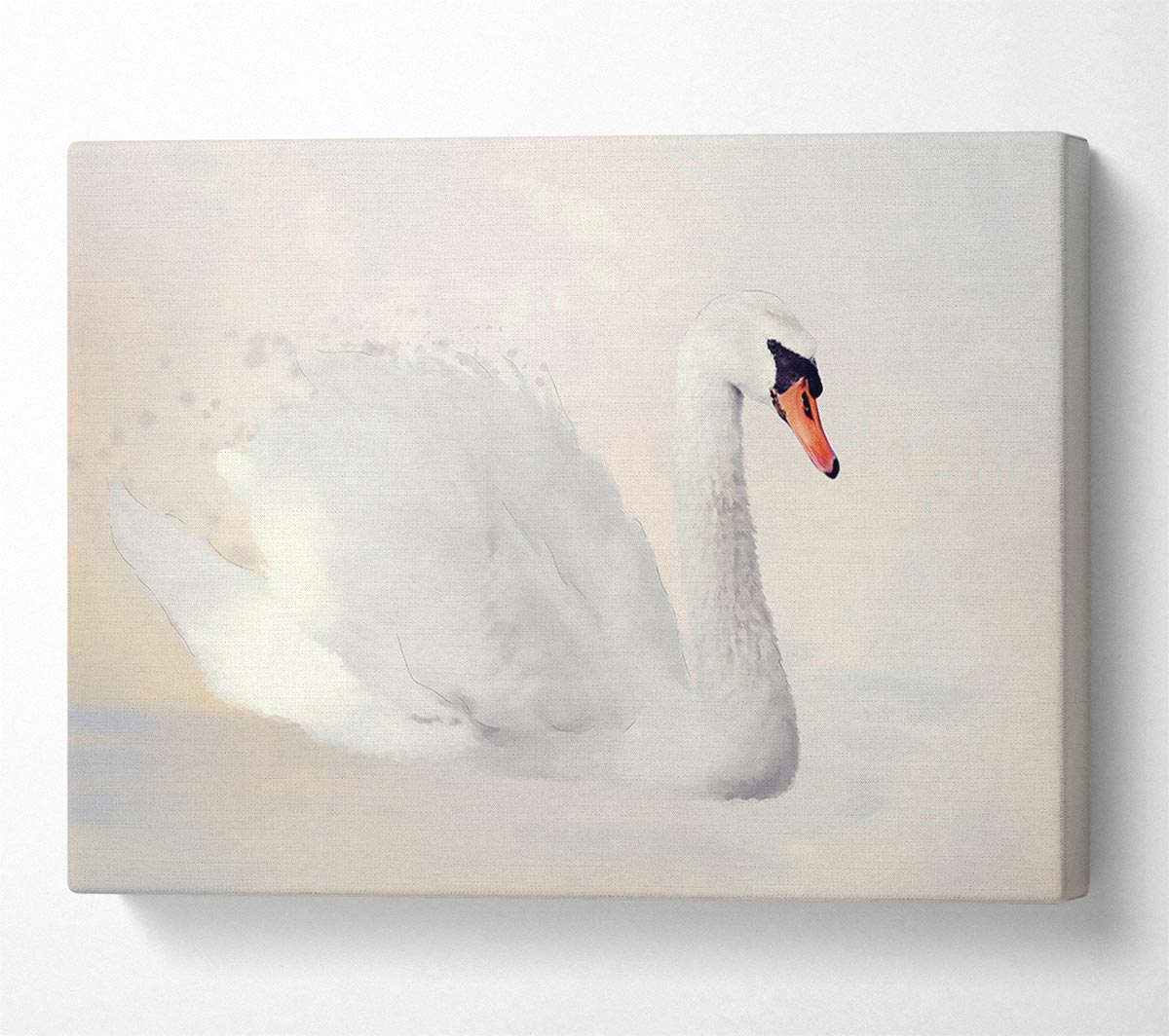 Stunning Swan Splash Canvas Wall Art