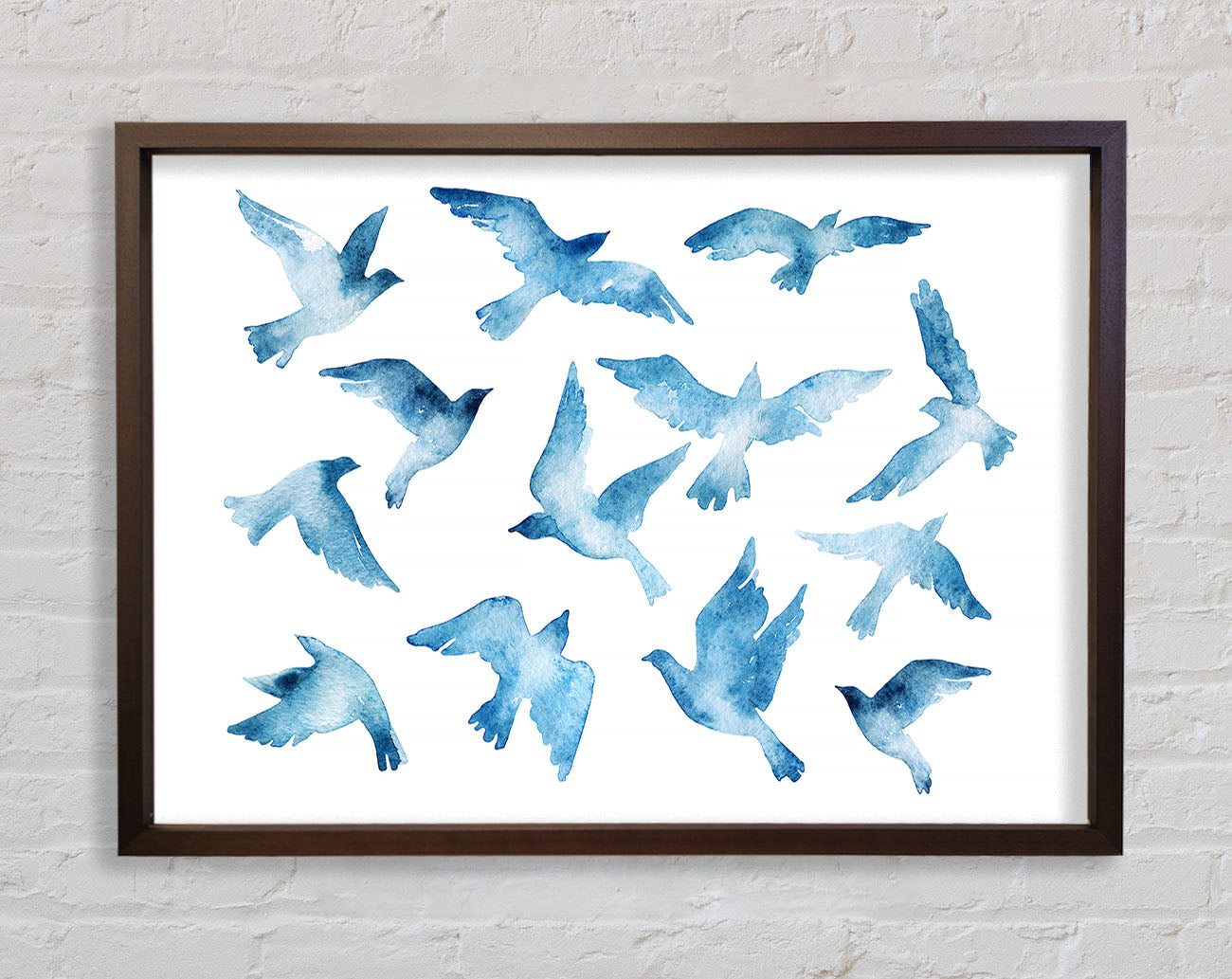 Blue Doves Framed Print