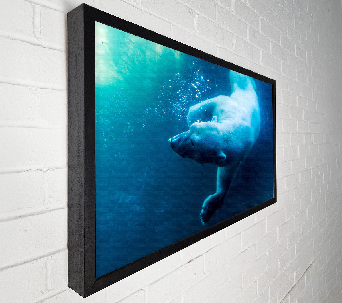 Polar Bear Swimming Canvas Wall Art
