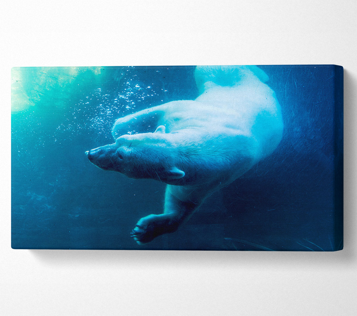 Polar Bear Swimming Canvas Wall Art