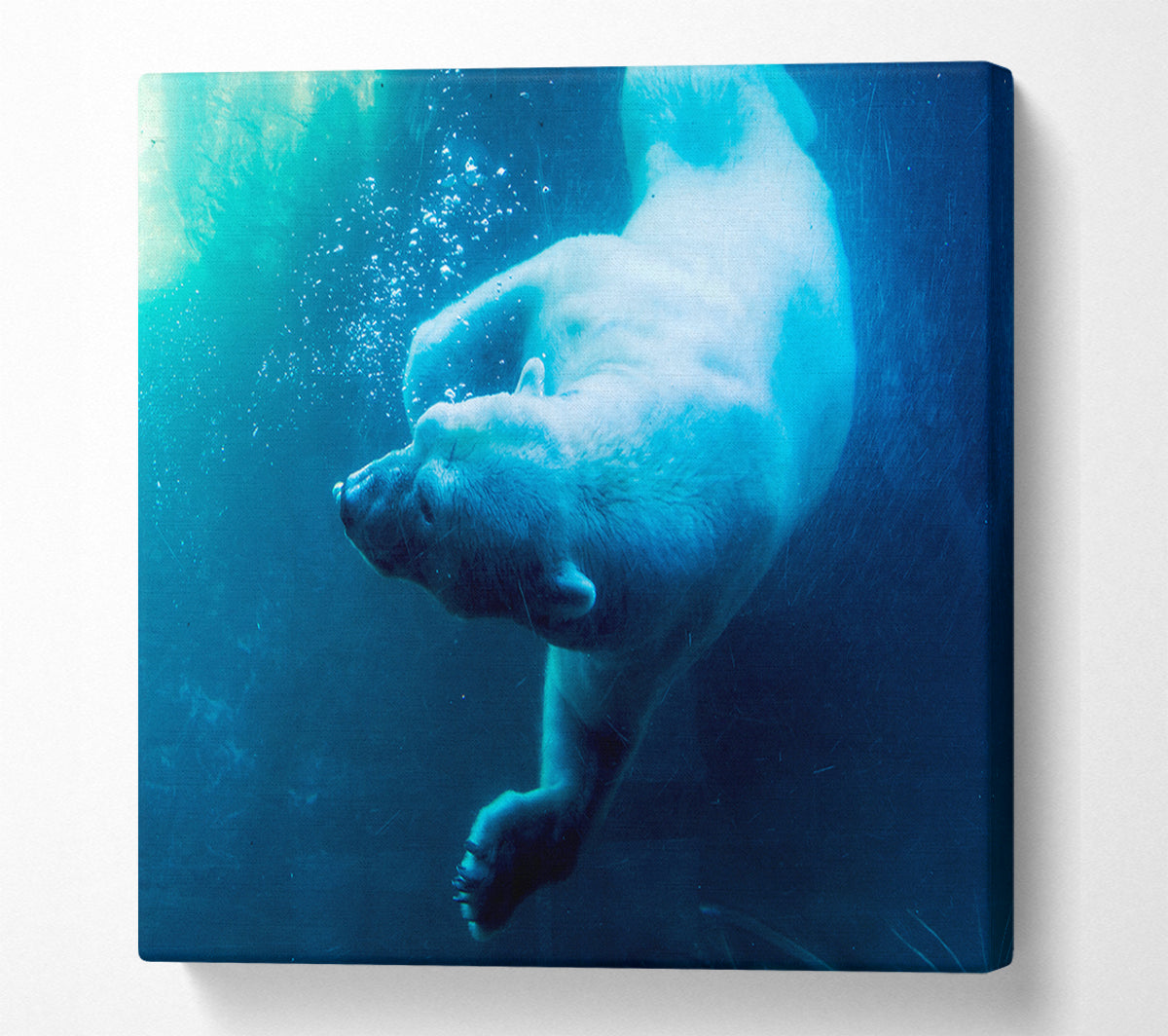 Polar Bear Swimming Canvas Wall Art