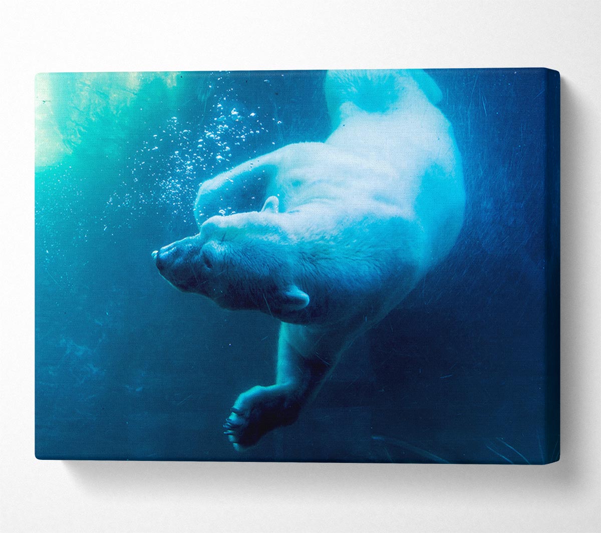 Polar Bear Swimming Canvas Wall Art