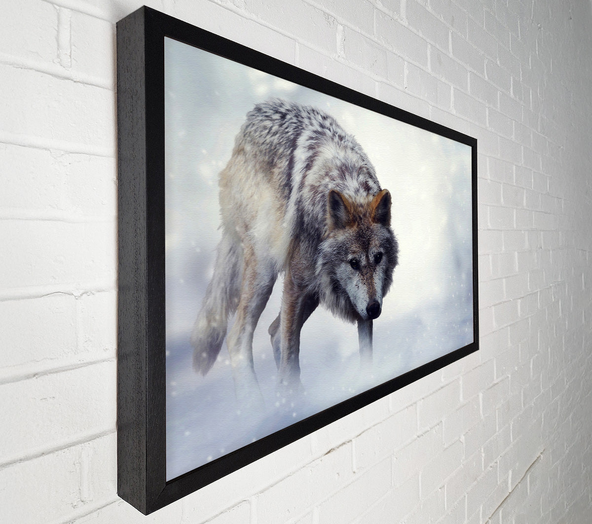 Prowling Wolf Canvas Wall Art