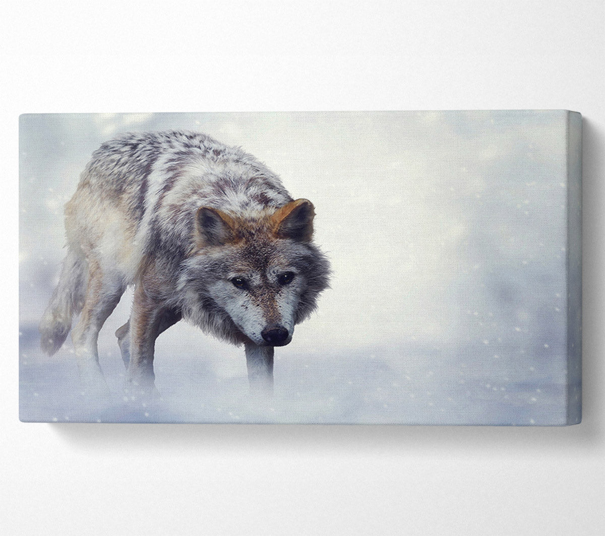 Prowling Wolf Canvas Wall Art