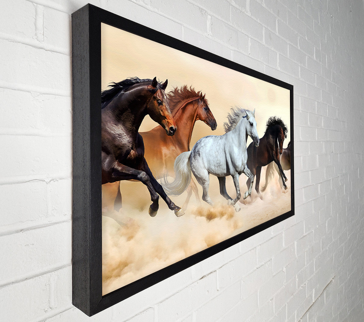 Wild Stallion Horse Desert Canvas Wall Art
