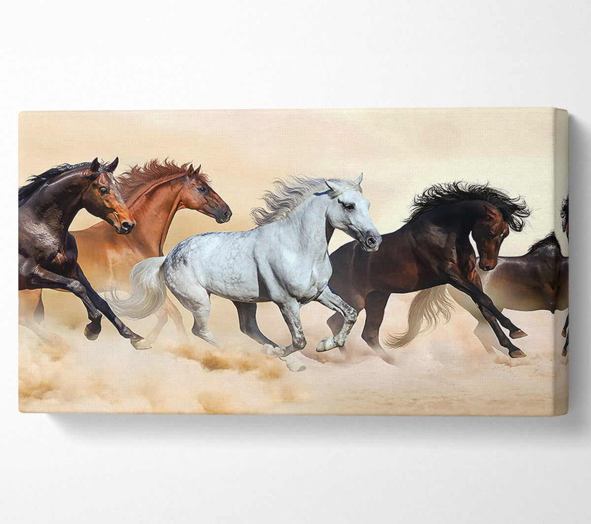 Wild Stallion Horse Desert Canvas Wall Art