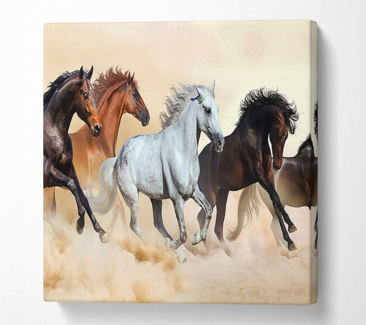Wild Stallion Horse Desert Canvas Wall Art