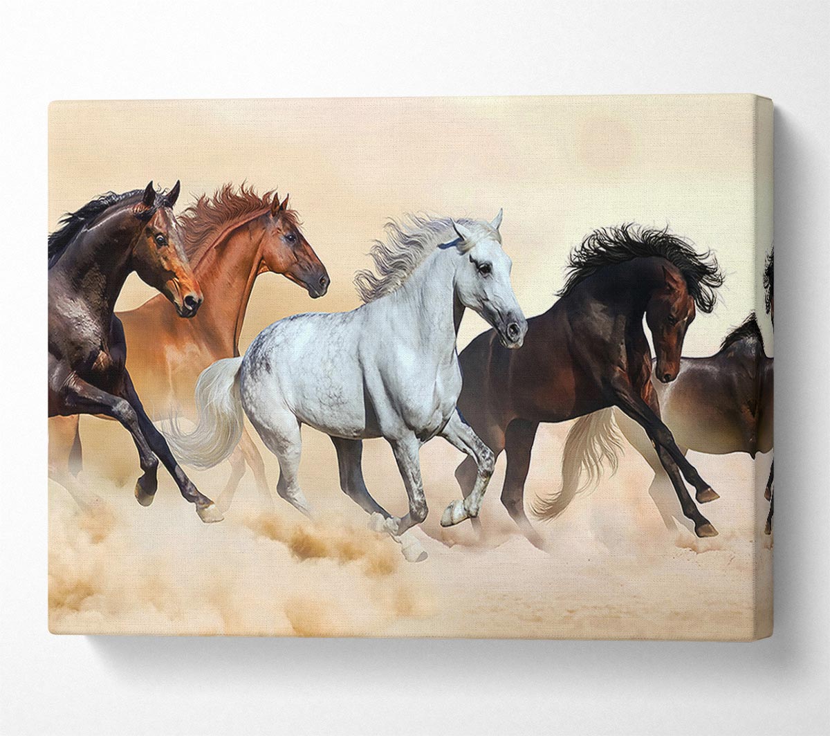 Wild Stallion Horse Desert Canvas Wall Art