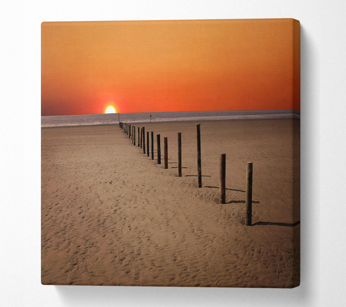 Sunset Walk Canvas Wall Art